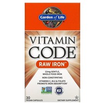 Garden of Life (가든 오브 라이프) Garden of Life Vitamin Code 무가공 아연 베지 캡슐 30정, 4개