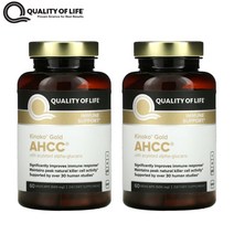 (2통) 키노코 골드 AHCC 500mg 60베지캡슐 표고버섯균사체 퀄리티오브라이프