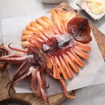 100% 국내산 동해 영덕 반건조 오징어 10마리 600g~1.7kg, 10마리(특대 1.5kg)