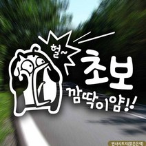 자동차스티커 깜딱이얌 초보펭키 초보운전 반사 초보운전 차량용스티커 차량용스티커주문제작 차량스티커 자동차스티커제작 아기차량스티커 초보운전스티커 아기가타고있어요 스티커