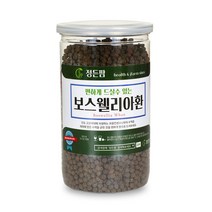 보스웰리아환, 보스웰리아환 400g 이중밀폐통