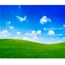 수수잔디 고급형 인조잔디 매트 인공잔디 롤잔디 베란다 테라스, 폭2.5m x 길이1m, 1개