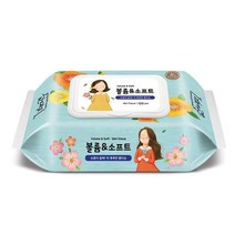 한예지 볼륨n소프트 에디션 물티슈 캡100매