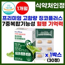 뇌 영양제 징코 플러스 혈행 혈액 순환 기억력 개선 증진 도움 건망증 손 발 저림 예방 뇌 혈관 혈행 건강 영양제 식 약 처 인증 징코플러스 징코민 징코비 50대 60대 추천, 1박스, 30정