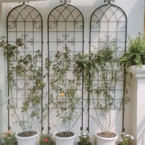 넝쿨 장미 화단 담쟁이 담벼락 지지대 철제 트렐리스, A 디자인 높이 2.2m 너비 50cm 화이트