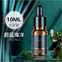 명품차량용방향제 공기청정기 공기 청정기 향수 리프레셔 자동차 대시 보드 조절 아로마 디퓨저 테라피 향, 05 Azure ocean