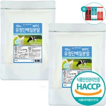 대용량 유청단백질 프로틴 파우더 보충제, 2팩, 500g