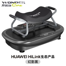 덜덜이 쉐이크보드 헬스장 거꾸리 전신 운동기구, 팬텀 블랙