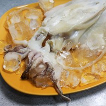 [바다의행복] 국내산 여수 반건조 갑오징어중 x 3팩, 없음