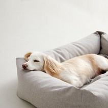 [강아지수면침대] 강아지 척추 침대 2색 반려견 수면 쇼파 디스크 보호 의자, 그레이
