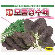 모둠경수채씨앗종자) 모둠경수채(2000립) S2399