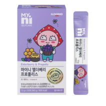 마이니 엘더베리 프로폴리스, 12ml, 360포
