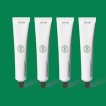티타드 프레시 브레스 치약 100g 4개