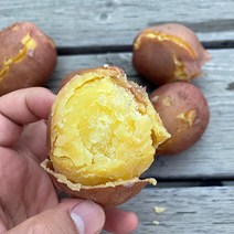 23년 햇살조은 국내산 카스테라 햇 홍감자, 2.대사이즈, 3kg