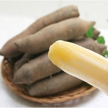 국내산 품질 좋은 안동 야콘 햇야콘 중품 5kg, 단품