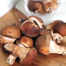 산지직송 무농약 송이 참송이버섯 가정용 선물용 200g 500g 1kg, 1등품참송이 500g