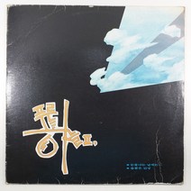 (중고LP) 푸른하늘 2집/ 눈물나는 날에는/ 1989년 발매/ 자켓 닳음/ 음반 상태 양호함 EX/ 가사지 있음