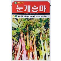 삼나물로 노화방지 고지혈증 성인병 예방에 좋은 눈개승마 씨앗 500립