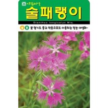 향기가 좋은 술패랭이 씨앗(500립)(A0702)