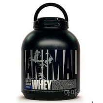 Whey 동물성 분리 유청 단백질 파우더 운동 회복 프로틴 복합단백질 보충제, 4 Pound (Pack of 1), 바닐라
