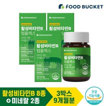 푸드버킷 활성비타민B 컴플렉스 3박스 9개월분, 단품, 단품