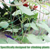 식물 등반 Net Trellis Garden Plants 케이블 타이와 그라운드 네일이있는 튼튼한 가든 메쉬 트 렐리 스 지, 한개옵션0