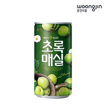 웅진 초록매실 180ml x 30개