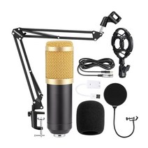 Bm800 용량 성 마이크 V8 사운드 카드 국경 앵커 컴퓨터 녹음 브래킷 대형 다이어프램 라이브 방송 세트, V8 영어 단일 사운드 카드 (컬러 박스)