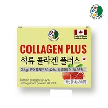 석류콜라겐스틱 연어콜라겐 저분자 피쉬콜라겐 효소분해 엘라스틴 석류분말 터키산 석류가루 엘라그산 비타민C 추천 캐나다 유픽랜드, 1, 30포