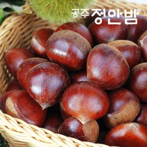 [푸드마인] 22년 공주밤 정안 알밤 2kg(대품) 햇밤, 상세 설명 참조