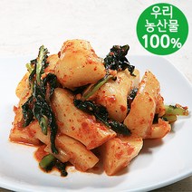 [담채원]학교급식납품업체 !국내산 김치들, 총각김치 500g