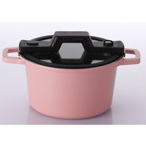 네오플램 프레시온 인덕션 저압냄비24cm