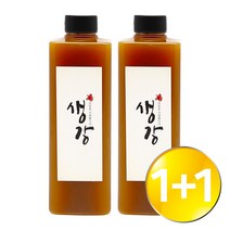 [당일발송]담아요 국산 저온발효숙성 프리미엄 생강청 생강착즙 생강액기스 천연당 플라스틱병 500ml, 2병