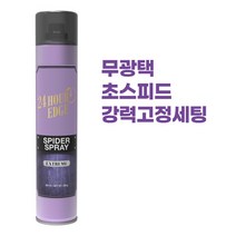 에빈 24시간 엣지 스프레이, 1개, 300ml