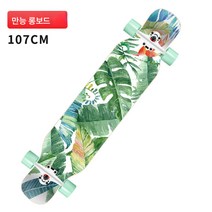 롱보드 초보자용 스케이트보드 초보자용 성인 더블 리프트 전문 킥보드, Cb556 녹색 잎