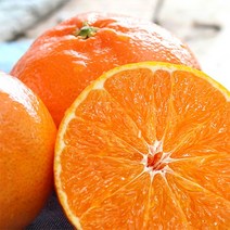 산지직송 제주 레드향 가정용 3kg 5kg 10kg, 대과 10kg