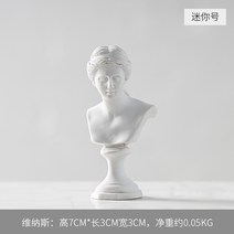 스케치 미니 조소 조각 수지 석고 장식 작은 머리 장식 모델 소묘, 미니 비너스
