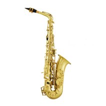 니하오구매대행 6개월AS 셀마 셀머 selmer 알토 색소폰 연습용 연주용 초보용 입문자 실버 골드 다크골드 블랙골드 4종, D.골드