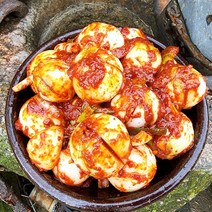 올바른새움푸드 국산 100% 농가수제 양파김치, 양파김치2kg