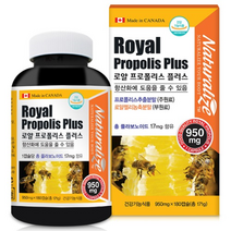 네추럴라이즈 로얄 프로폴리스 플러스 950mg x 180캡슐, 1박스