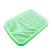 콩나물키우기 숙주 새싹 옹기 돋아 트레이 홀더 토양 프리 화분 수경 재배 용기, 02 green
