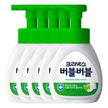 버블버블 핸드워시 퓨어애플향 용기 250ml X 5개, 단품, 단품