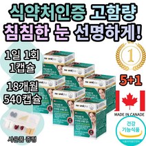 내츄럴플러스 프리미엄 루테인골드 망막 황반변성 안구 건조증 건조 백내장 녹내장 영양제 치료 치료제 보호제 약 에좋은약 방지 약국 시력 에좋은영양제 망막방리 망막질환 비타민A