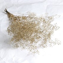 5G MINI Baby Breath Preserved Flowers For Home Decor DIY Dried for Aromatherapy Candle Resin Fillings, 01 5g, 04 Gold