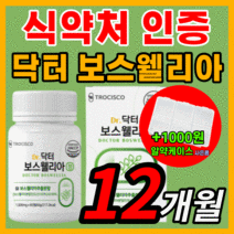 가성비 닥터 보스웰리아 플러스 초록입 초록잎 홍합 프리미엄 인도산 보수 보이스 엘리아 넬리아 웨리아 벨리아 홈쇼핑 관절 연골 무룹 무릎 무릅 허리 식약처 식약청 인증 인정 보조제, 720정(12개월)