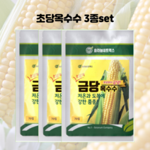 초당(금당)옥수수씨앗70립x3봉/ 초당 옥수수 씨앗 주말농장 텃밭