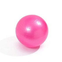 인생 애호감 안티버스트 짐볼 5가지 컬러 65cm, 핑크색