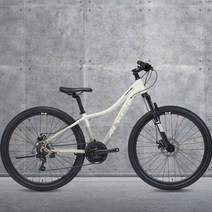 2022 알톤 샌드스톤1.0D 27.5인치 산악MTB자전거, 무광그레이