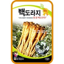 주주씨앗 백도라지 1000립 / 토종 도라지 씨앗 민속채소 뿌리채소 약초 종자 white balloon flower seed