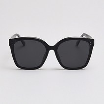 스타일호른 비커 오버사이즈 여성 남성 커플 플랫 사각 편광 선글라스